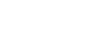 Skiing Everest Logo